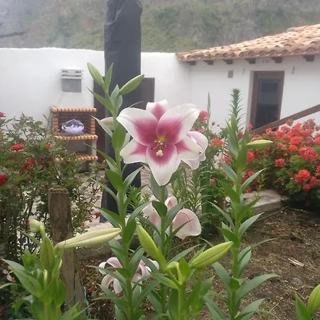 Casa La Plaza Feriehus *