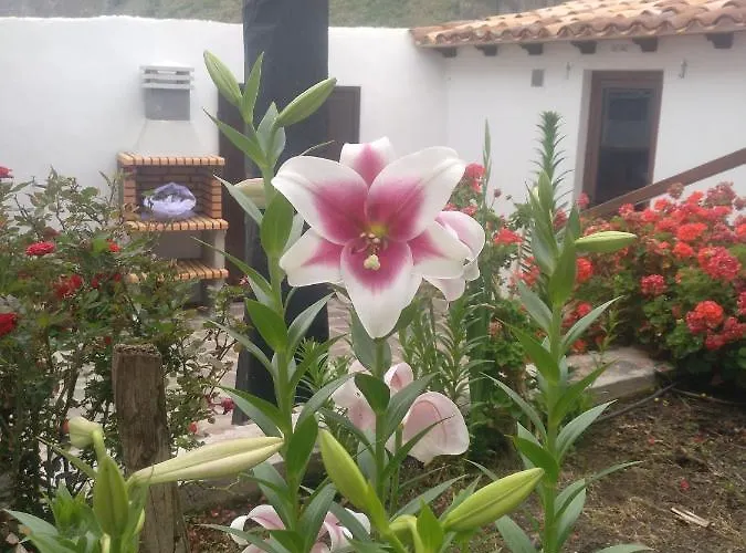 Casa La Plaza Ferienhaus *